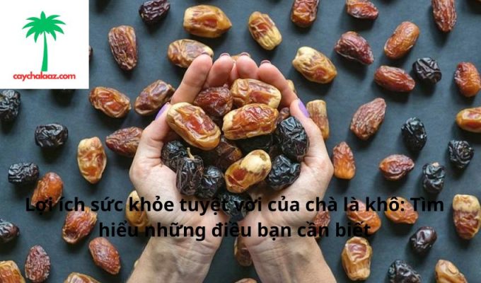 Lợi ích sức khỏe tuyệt vời của chà là khô: Tìm hiểu những điều bạn cần biết