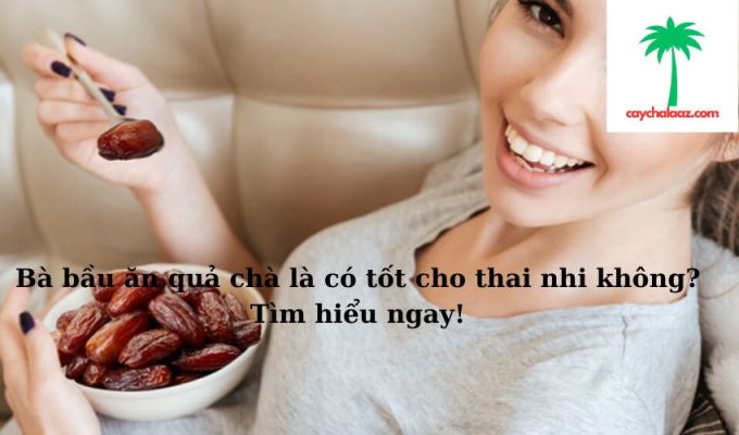 Bà bầu ăn quả chà là có tốt cho thai nhi không? Tìm hiểu ngay!