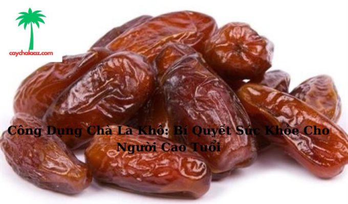 Công Dụng Chà Là Khô: Bí Quyết Sức Khỏe Cho Người Cao Tuổi