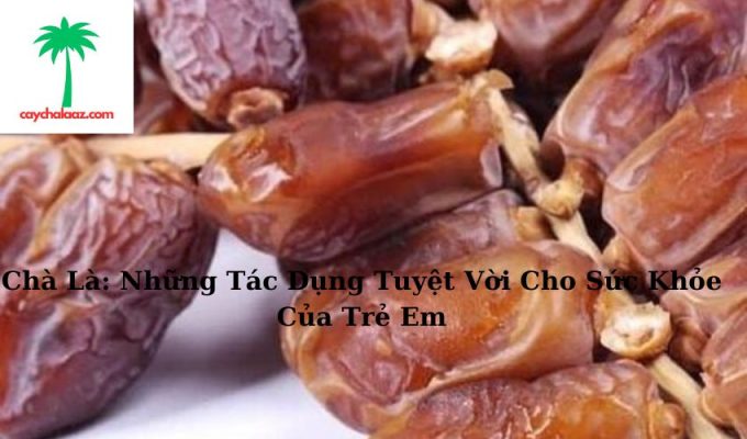 Chà Là: Những Tác Dụng Tuyệt Vời Cho Sức Khỏe Của Trẻ Em