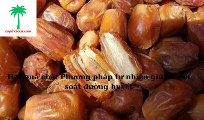 Hạt quả chà: Phương pháp tự nhiên giúp kiểm soát đường huyết