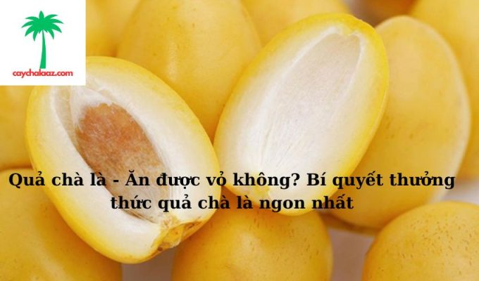 Quả chà là - Ăn được vỏ không? Bí quyết thưởng thức quả chà là ngon nhất