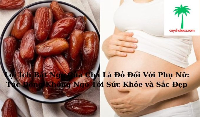 Lợi Ích Bất Ngờ Của Chà Là Đỏ Đối Với Phụ Nữ: Tác Động Không Ngờ Tới Sức Khỏe và Sắc Đẹp