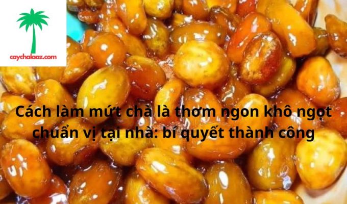 Cách làm mứt chà là thơm ngon khô ngọt chuẩn vị tại nhà: bí quyết thành công