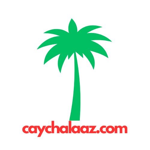 Caychalaaz.com  – Cung cấp thông tin giống chà là chi tiết nhất